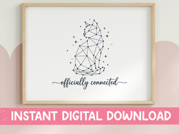 Officially Connected Cat Constellation Review